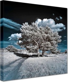 Festmények 20x20 Fa