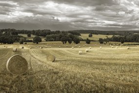 Poszter 45x30cm Szénakazalok a mezőkön 3, Assaf Frank
