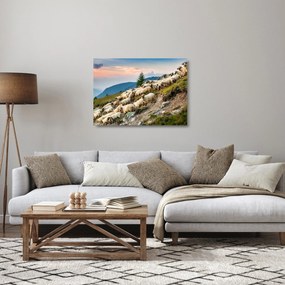 Üveg kép - Egy nyáj birka (70x50 cm)