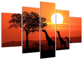 Zsiráfok képe naplementekor (150x105 cm)