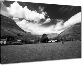 Vászonkép 100x70 Bárányok a réten