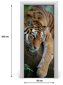 Ajtó méretű poszter Tiger a fán 75x205 cm