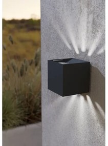 Eglo 900445 - LED Kültéri fali lámpa CALPINO 2xLED/3,3W/230V IP54