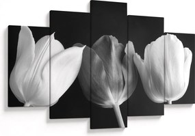 Kép - fekete-fehér tulipán virág (150x105 cm)