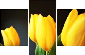Tulipán képe (90x60 cm)