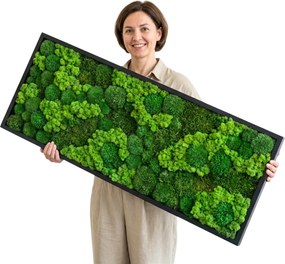 Vászonkép moha fa keretben Moha Párna Lapos 150x50 cm