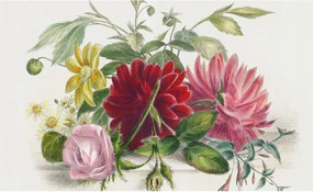 Fotótapéta Flizelin Dekoratív tapéta Virágos csokor 416x254 Ragasztó