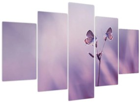 Kép - Lila pillangók (150x105 cm)