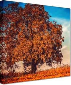 Vászonkép 20x20 Őszi színek Tájkép