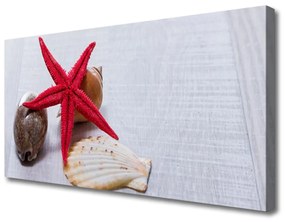 Vászonkép falra Starfish Shells Art 140x70 cm