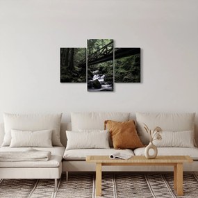 Fekete erdő képe (90x60 cm)