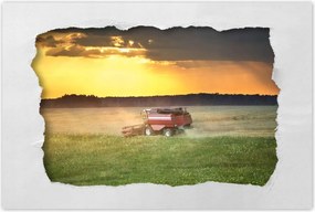 Poszterek 60x40 Kombájn kaszálja az arany gabonát