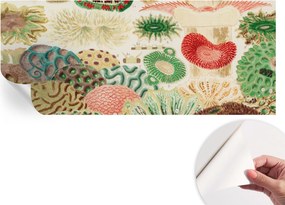 Fali fotótapéta Hálószobába Nappaliba Organikus formák 250x104 cm