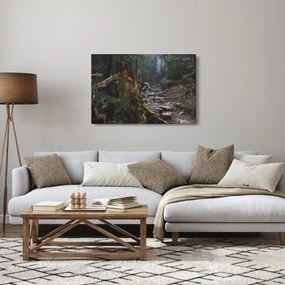 Kép - Az erdőben (90x60 cm)