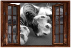 Plakátok 60x40 Macska, macskamancsok Cat