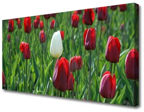 Vászonfotó Tulipán virágok természet 140x70 cm