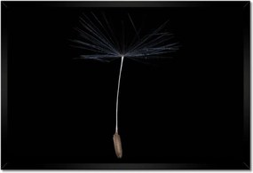 Poszterek keretben 60x40 Pitypang Virág Virágok