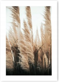 Boho Száraz Fű poszter kép A1 59,4x84,1 cm #20N