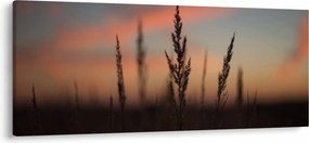 Kép - A növény sziluettje (120x50 cm)