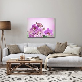 Kép - Pillangó orchidea virágon, lila (70x50 cm)