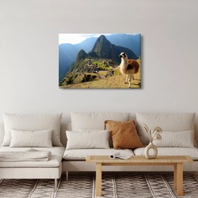 Kép - Láma és Machu Picchu (90x60 cm)