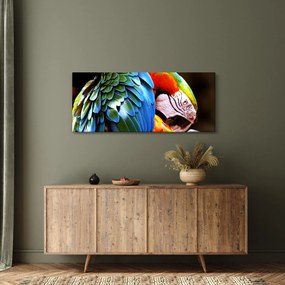 Kép - Papagáj (120x50 cm)