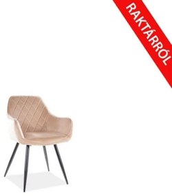 Linea Velvet karosszék bézs