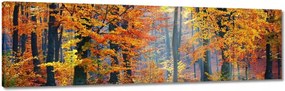 Vászonkép 170x50 Arany ősz