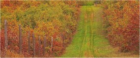 Fotótapéta Flizelina Nappali és Hálószoba Irodába Őszi színek 250x104 Ragasztó