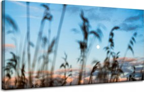 Vászonkép Természet Mező Rét Napfelkelte 120x60