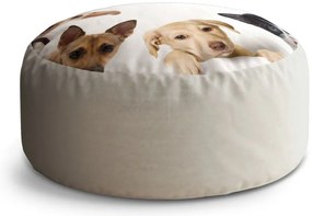 Circle zsámoly kiskutyák és kiscicák, bézs