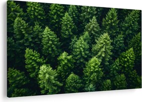 Kép - Forest (90x60 cm)