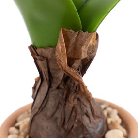 Műnövény (magasság 29 cm) Hyacinth – Ixia