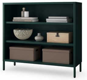 Alacsony polcos szekrény LUCA , 1000 x 900 x 350 mm, Modern: palack zöld