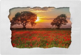Poszterek 120x80 Pipacsok a mezőn Tájkép