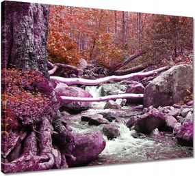 Vászonkép 50x40 Lila zuhatag