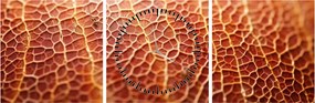 Kép - Textúra részlet (órával) (90x30 cm)