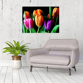 Tulipánok képe fekete alapon (70x50 cm)