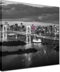 Vászonkép 30x30 Rózsaszín Eiffel-torony híd