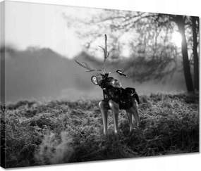 Vászonkép 40x30 Szarvas Modern művészet