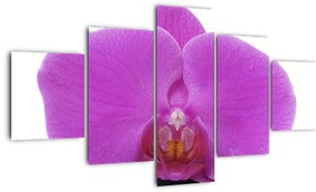 Modern kép - virágok  (125x70cm)
