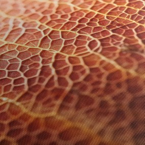 Kép - Textúra részlet (90x60 cm)