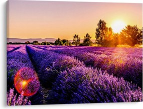 Levandula mező képe (70x50 cm)