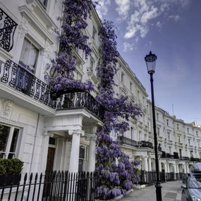 Poszter 40x40cm Ház a Portobello úton, Assaf Frank