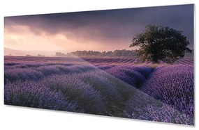 Wallplex konyhahátfal Illatos Levendula (Méret: 60x180)