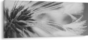 Kép - Pitypang (120x50 cm)