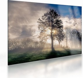 Fa a ködben képe (üvegen) (70x50 cm)