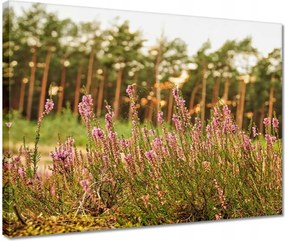 Vászonkép 40x30 Pókhálóval fonott hanga