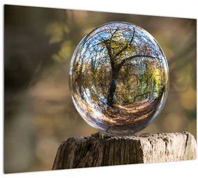 Kép - Tükröződés az üveggömbben (üvegen) (70x50 cm)