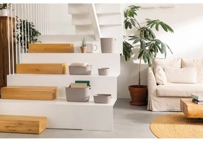 Műanyag tárolókosár 38x29x22 cm Softex – Curver